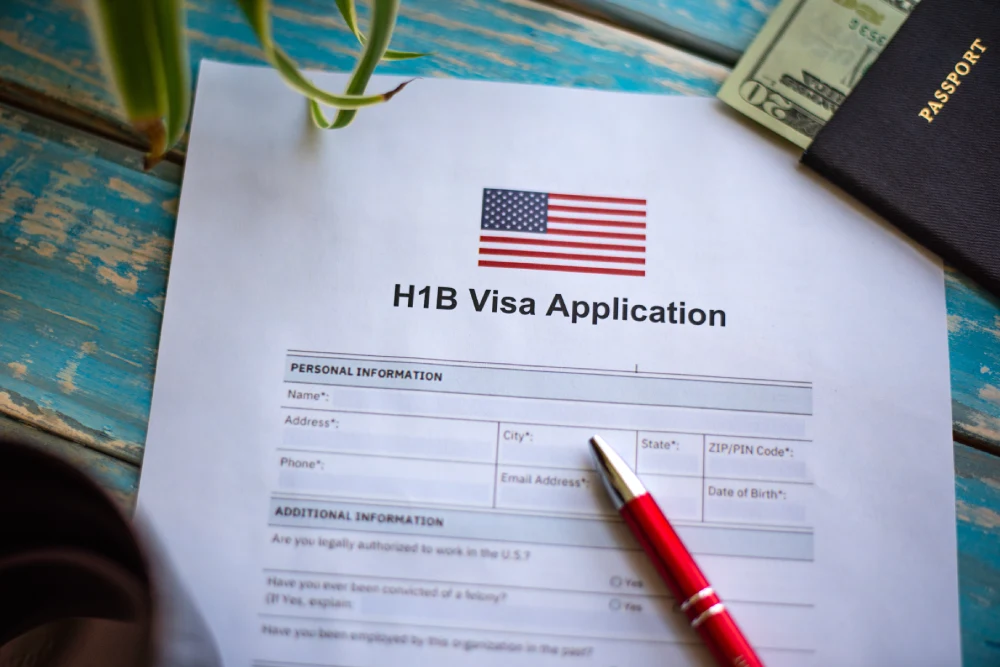 Business Visa Application